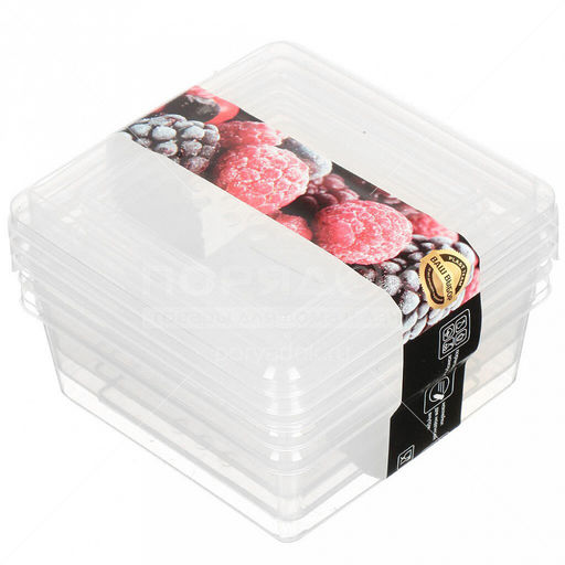 Asti Контейнер для заморозки продуктов пластмассовый 0,5л, 12х12х8,5см, набор 3шт, прозрачный (Россия) - Домашняя мода фото 2