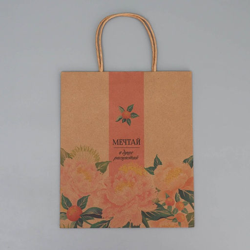 Цена за 2 шт. Пакет подарочный крафтовый, упаковка, Мечтай, ML 23?27?11.5 см