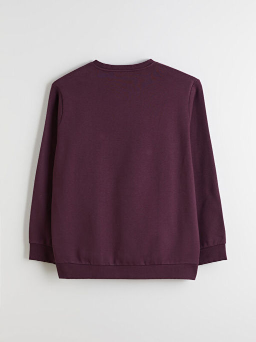 B?y?k Beden Bisiklet Yaka Erkek Sweatshirt