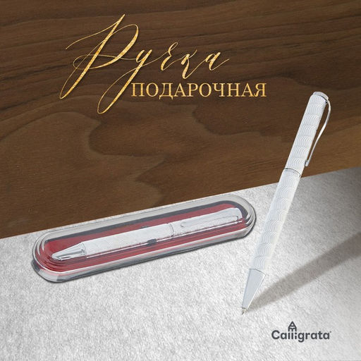Ручка подарочная, шариковая «Супер» в пластиковом футляре, поворотная, серебристая
