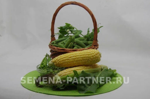 Кукуруза Спирит - Партнер фото 7