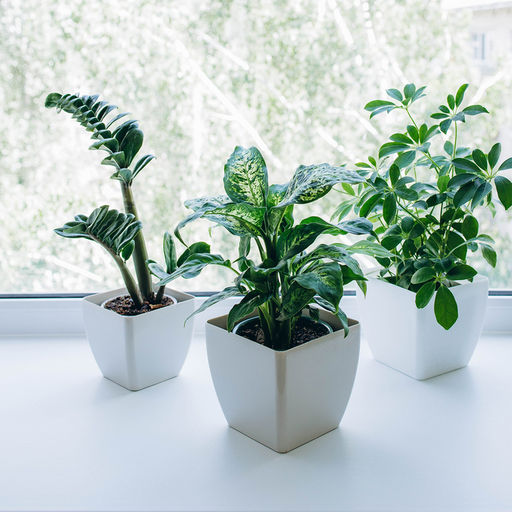 Цена за 2 шт. Кашпо для цветов, 13×13 см, 1.5 л, пластик, белое