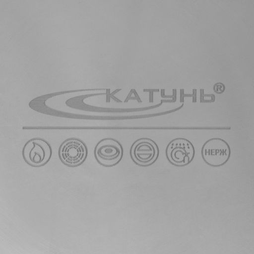 Кастрюля Катунь «Общепит», 15 л, d=30 см, h=23 см, с крышкой, капсульное дно, нержавеющая сталь, хромированная