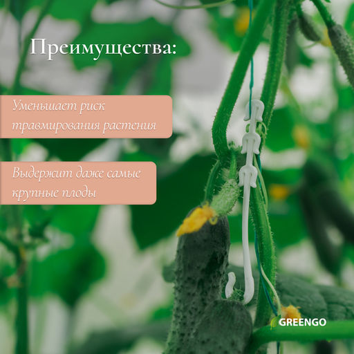 Цена за 3 шт. Кистедержатель, 9 см, набор 50 шт., Greengo фото 2