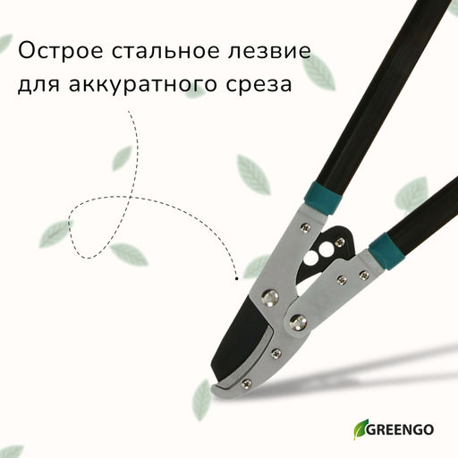 Сучкорез контактный, 31 (79 см), с наковальней, с пластиковыми ручками, МИКС, Greengo  фото 2