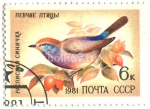 Марка Певчие птицы  Расписная синичка 1981 год