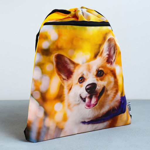 Сумка для обуви Забавный корги, 2 секции, 41х31 см - Artfox study фото 2