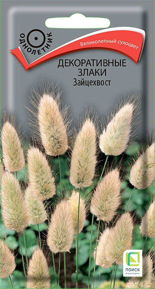 Декоративные злаки Зайцехвост (ЦВ) (1) 0,1гр. - Поиск фото 2