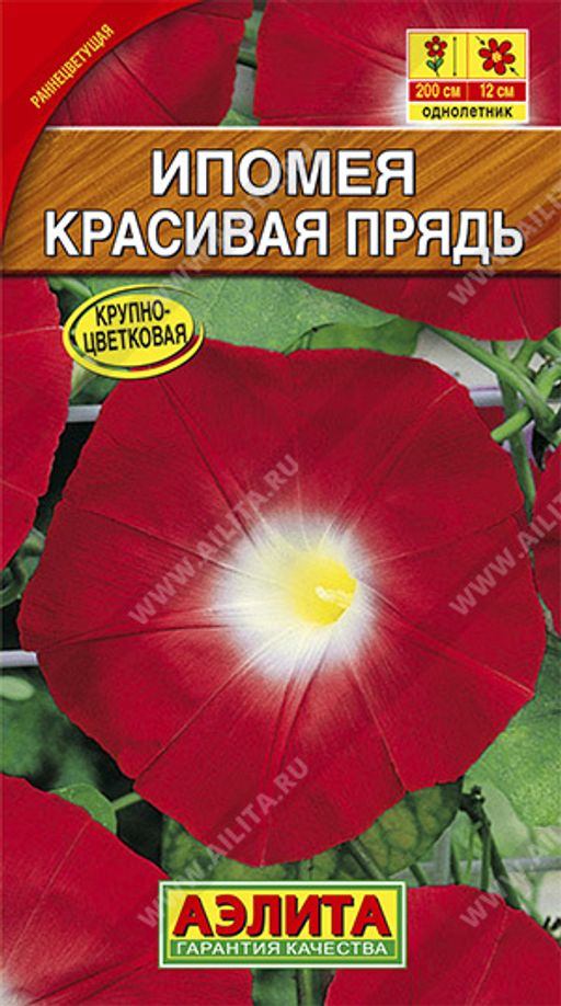 Ипомея Красивая прядь
