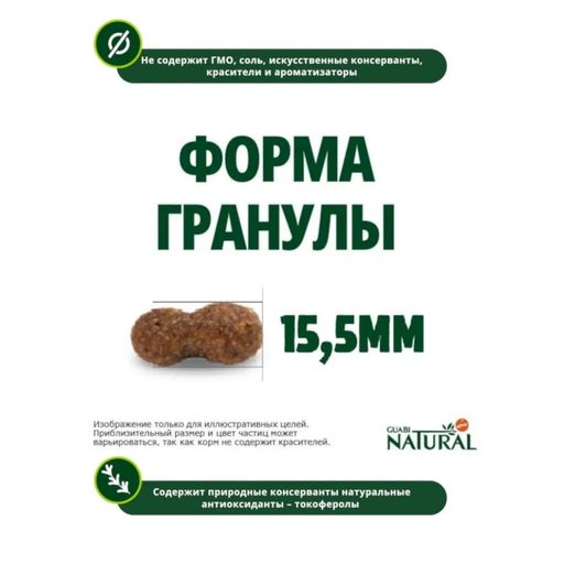 Скидка -10% Гуаби Натурал сухой корм для взрослых собак мелких пород лосось и ячмень 1кг - Guabi natural фото 10