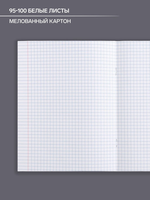 Цена за 5 шт. Тетрадь предметная 48 листов в клетку Calligrata «Животные. Информатика», обложка мелованный картон