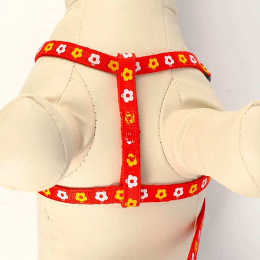 Комплект прошитый Цветы, поводок 120 х 1 см, ОГ 23-35 см, красный - Пижон фото 5