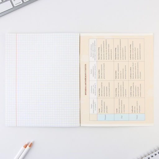 Предметная тетрадь, 48 листов, КОТ, со справочными материалами Английский язык, обложка мелованный картон 230 гр., внутренний блок в клетку 80 гр., белизна 96%,блок №1. - Artfox study фото 4