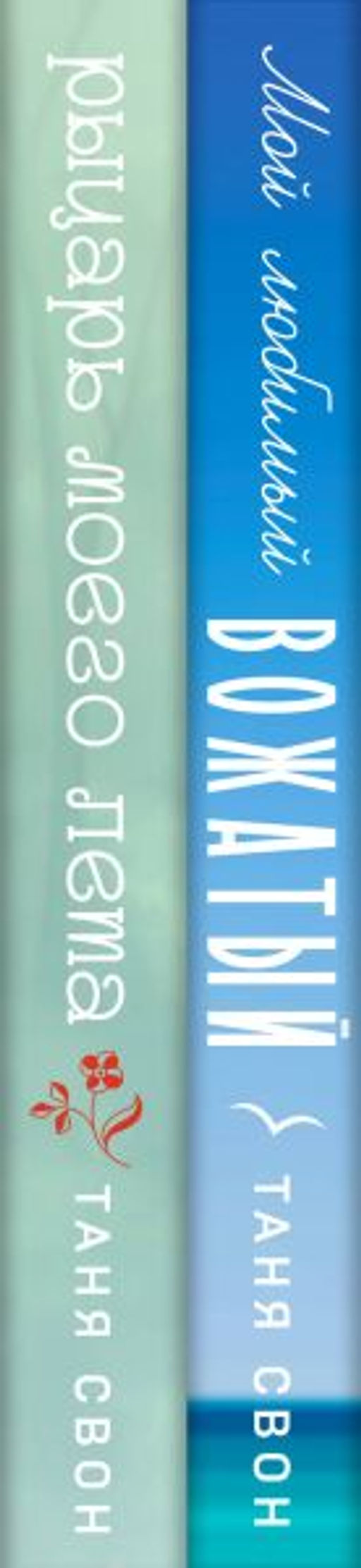 Комплект из 2-х книг Тани Свон: Мой любимый вожатый + Рыцарь моего лета