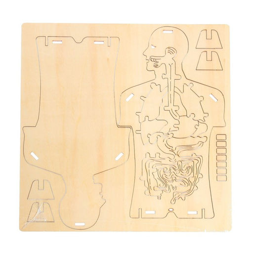 Набор для опытов Строение тела, 24 элемента - Эврики фото 3