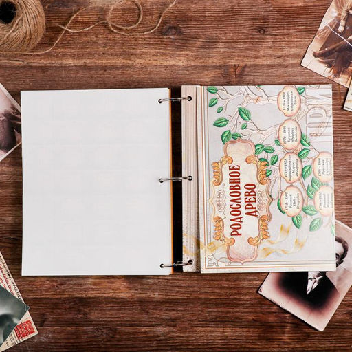 Родословная книга «Перо», 66 листов, 20 х 25 см.