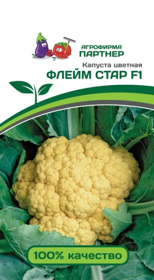 Капуста цветная Флейм Стар (желто-оранжевый)