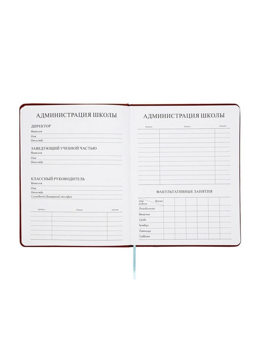 Дневник школьный 1-11 класс, ляссе, обложка искусственная кожа, с хлястиком, коричневый