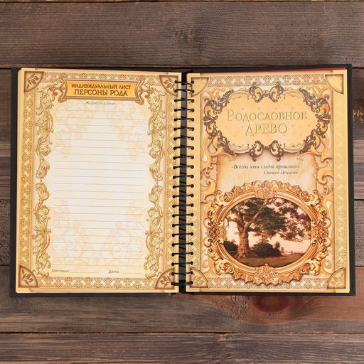 Родословная книга Книга семьи, 30 листов, 24,5 х 29,2 см - Семейные традиции фото 13