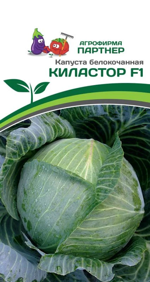 Капуста белокочанная позднеспелая Киластор F1