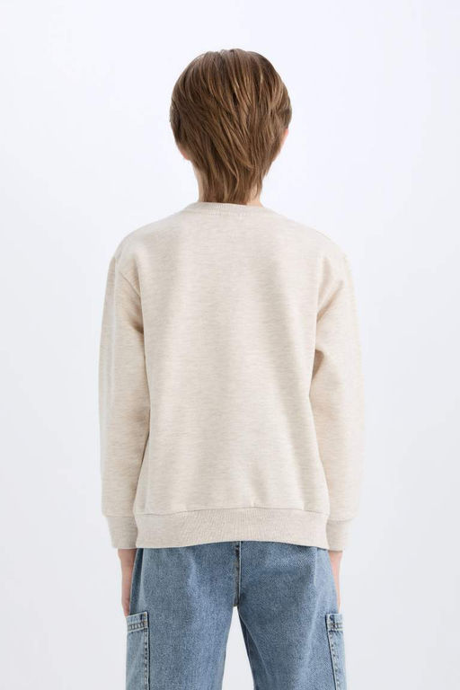 Толстовка обычного кроя с принтом для мальчиков с круглым вырезом - Defacto фото 6