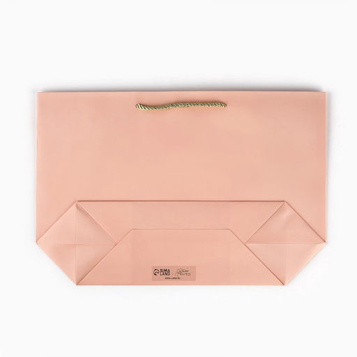 Пакет подарочный, упаковка, Present for you, 30?27.5?12 см