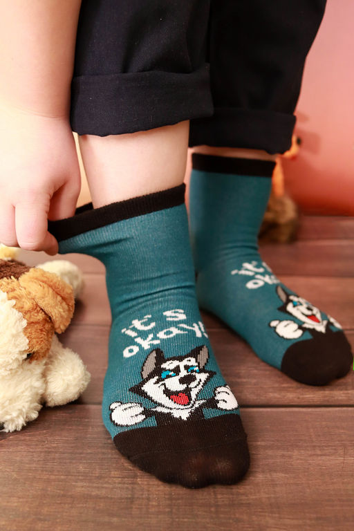 Носки детские Хаски (набор 3 пары)