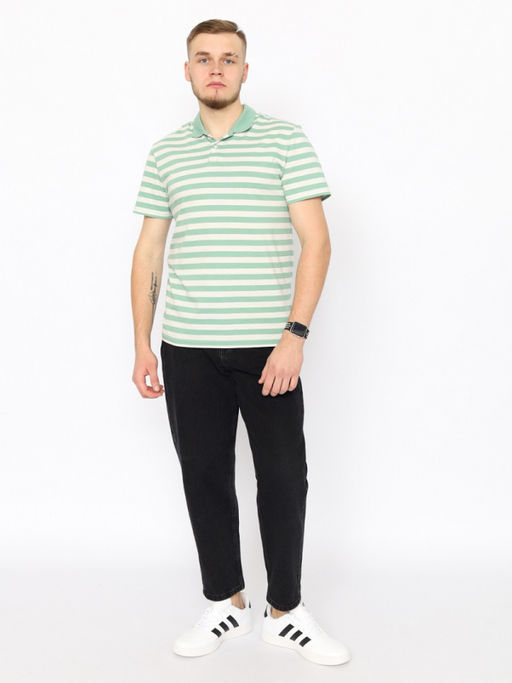 CRB wear/CWSM 60369-37 Рубашка-поло мужская,зеленый/Ex.Cherubino  фото 2