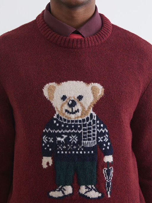 Bisiklet Yaka Ay? Teddy Bask?l? Erkek Triko Kazak