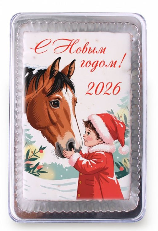 Девочка и лошадь "С Новым годом" 2026 (140 гр)