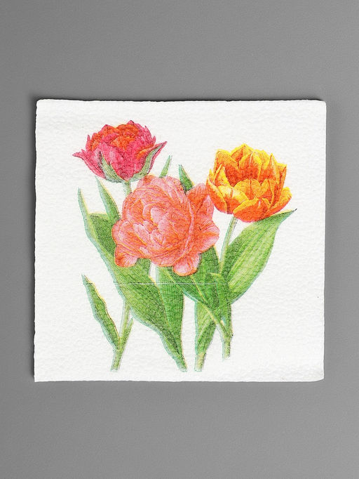 Цена за 4 шт. Салфетки бумажные «Тюльпаны», 24×24 см, 50 шт.