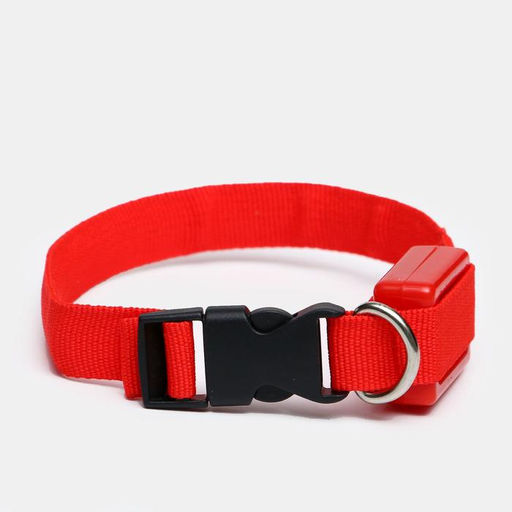 Ошейник светящийся узкий для небольших собак, 26 х 1,5 см, красный - Пижон фото 2
