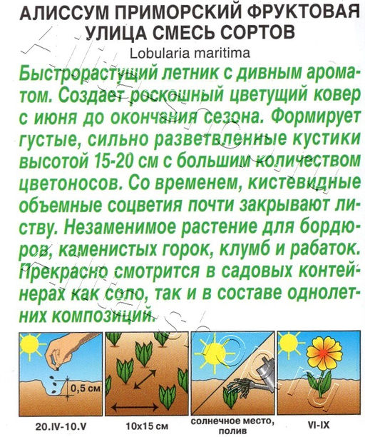 Алиссум Фруктовая улица (смесь сортов) 0,05г (Аэлита)