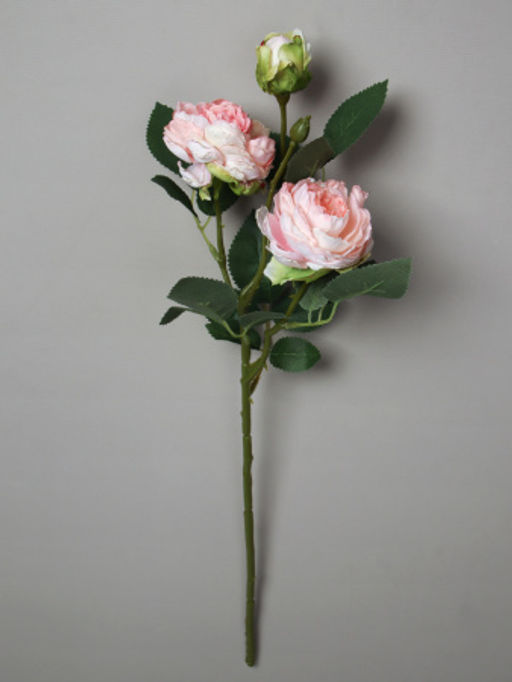 Цветок искусственный Роза пионовидная 50 см / RW-300 /уп 12/144/ - Галеонтрейд фото 3