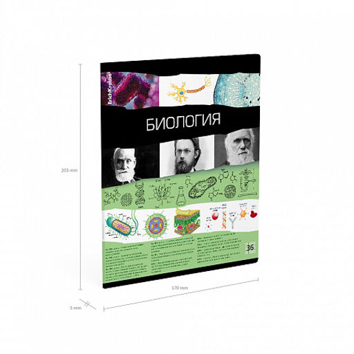Цена за 5 шт. Тетрадь общая ученическая ErichKrause Timeline, Биология, 36 листов, клетка  фото 4