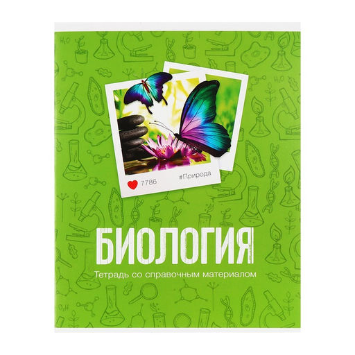 Тетради предметные Calligrata «Фото», 10 предметов, 48 листов, со справочным материалом, обложка из мелованного картона