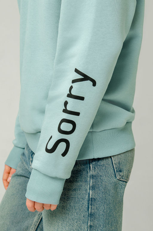 Арт. 15104 Свитшот женский 44-52 (5 шт) Цвет:мята