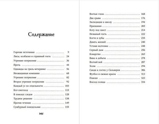 Тайна Холли (#3)