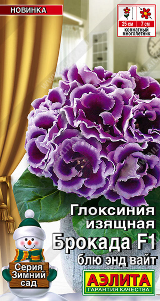 2008A Глоксиния Брокада F1 блю энд вайт 5шт