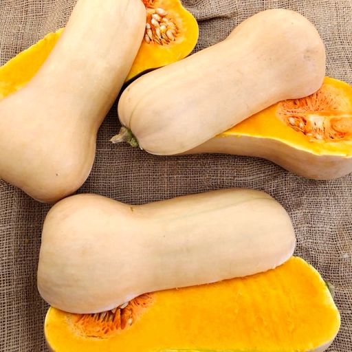 Уолтемская Тыква Баттернат — Waltham Butternut Squash