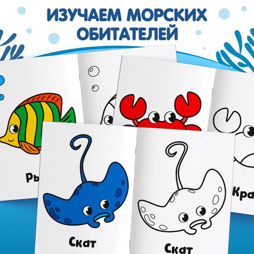 Раскраска Морские животные, 16 стр. - Буква-Ленд фото 3
