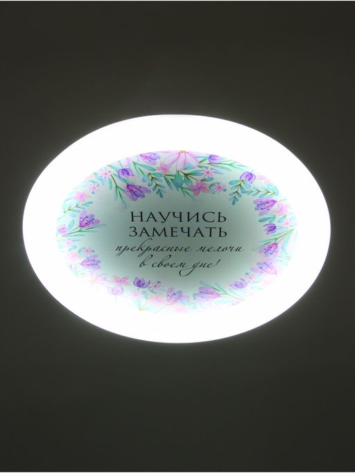 Потолочный светильник светодиодный BayerLux «Цветы», 120 Вт, LED, 49.5×49.5×6.5 см