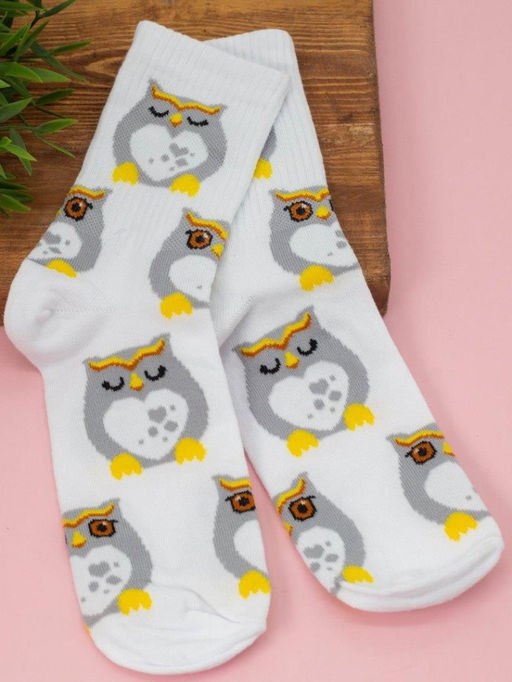 Носки женские "Funny owl", р. 35-40
