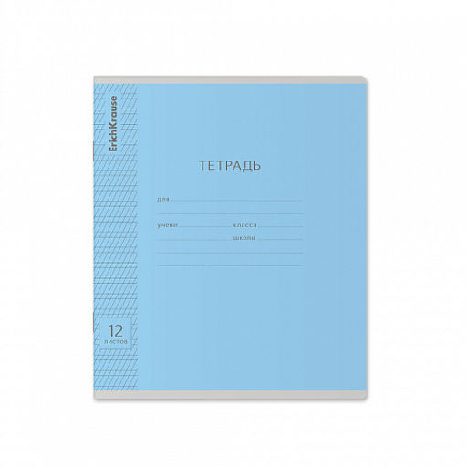 Цена за 280 шт. Тетрадь школьная ученическая ErichKrause Классика Visio ассорти, 12 листов, частая косая линейка (в плёнке по 10 шт.) фото 47