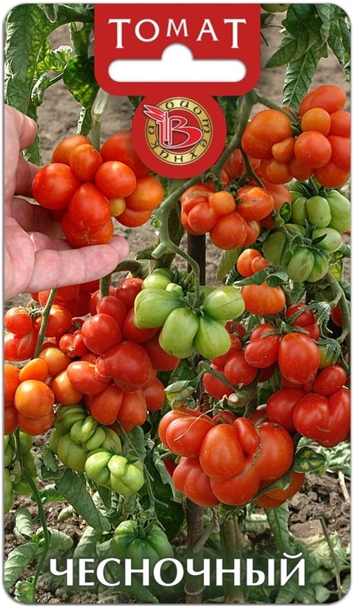 Томат Чесночный
