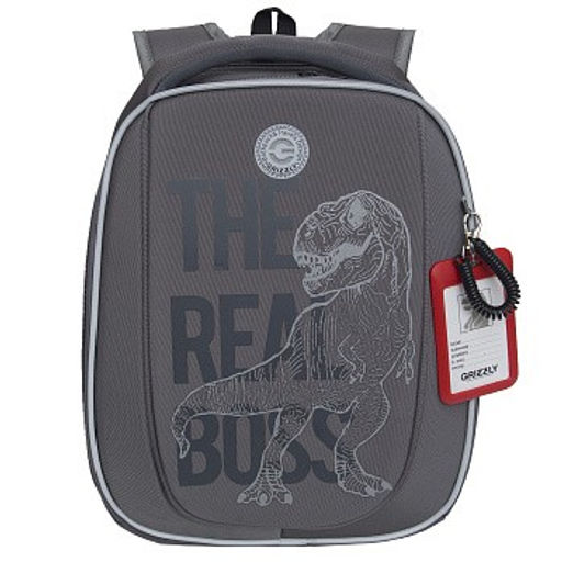 RAf-493-2 Рюкзак школьный - Grizzly фото 2