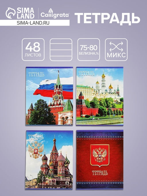 Тетрадь 48 листов в клетку Calligrata Россия, обложка мелованная бумага, блок №2, белизна 75% (серые листы), МИКС  фото 6