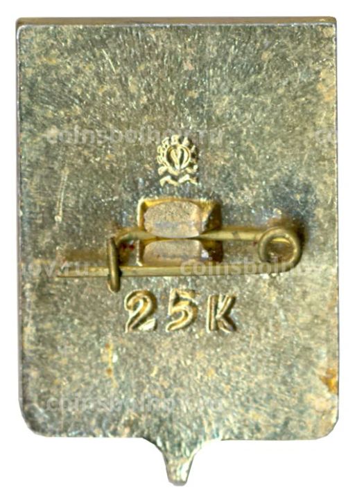 Значок Копейск