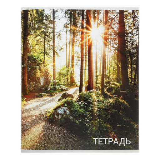 Тетрадь 96 листов в клетку Calligrata Природа, обложка мелованный картон, блок №2, белизна 75% (серые листы), МИКС  фото 6
