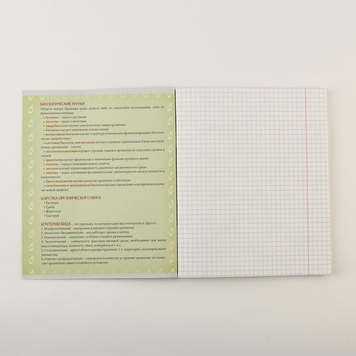 Тетради предметные, 48 л., А5, набор из 3 шт., «Шрифты»